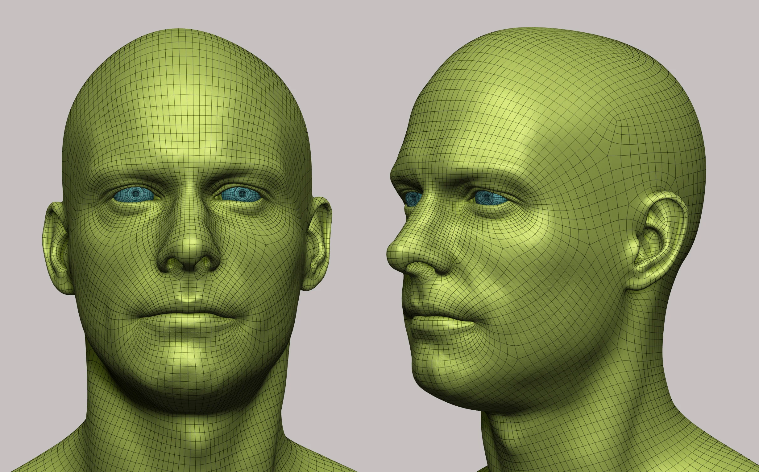Male character facial wireframe study